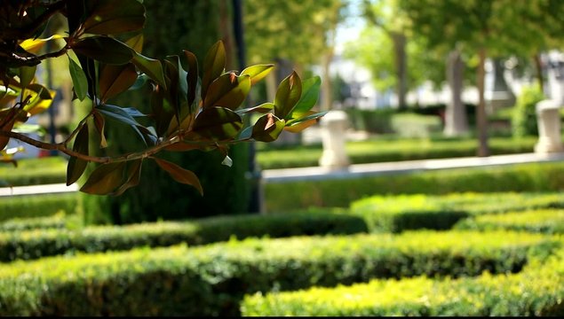City park in Madrid
