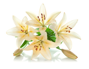 White lily bouquet