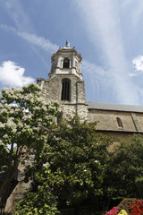 Fototapeta premium cathédrale sainte Melaine de Rennes