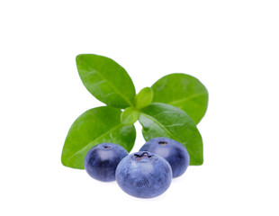 Bilberries