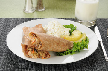 Salmon wrap with cottage cheese