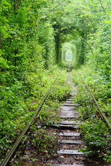 Tunnel of love © tverkhovynets