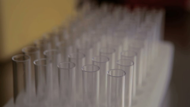 Lot of test tubes