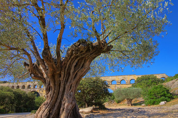 Pont du Gard 02