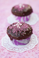 Chocolate cupcakes