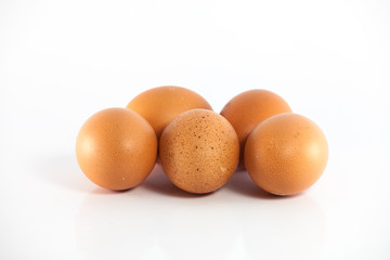 Egg