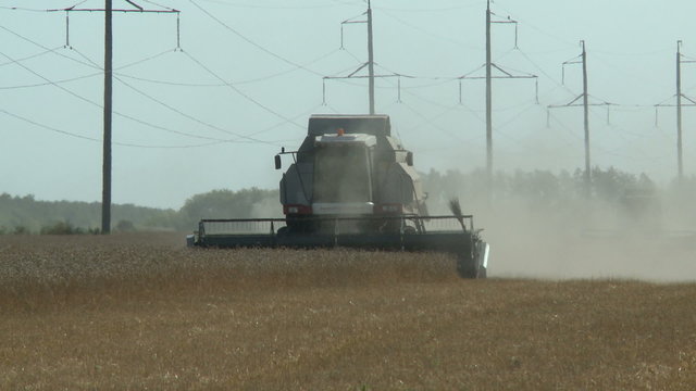 working harvesting combine in the field of ripe wheat
