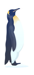 vector icon penguin