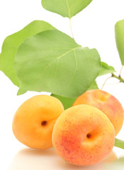 ripe sweet apricots with green leaves isolated on white