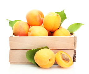 ripe apricots with green leaves in wooden box isolated on white