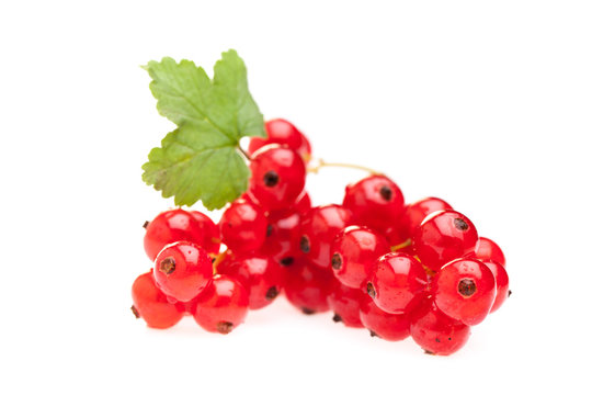 Rote Johannisbeeren mit Blatt auf wei&szlig;