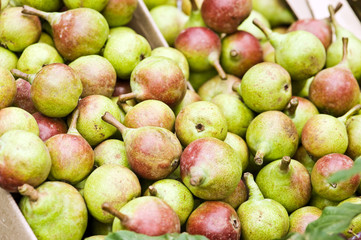 pear