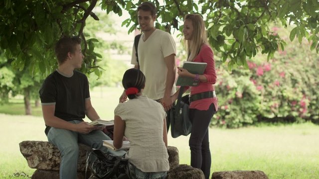 People at school, group of young men and women studying