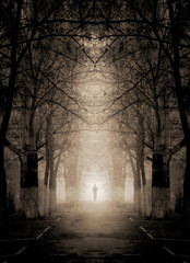 Obraz premium Gothic scene (grunge image).