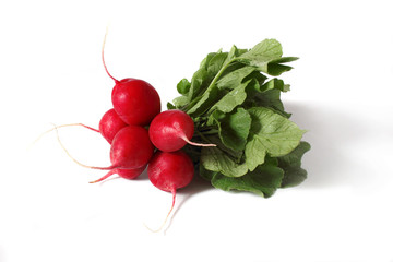 bunch of radishes isolated on white background