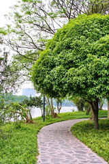 Landscapes of chinese park. Changsha city. China is.