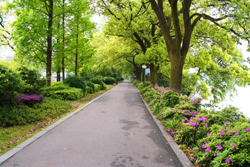 Landscapes of chinese park. Changsha city. China is.