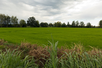 clouds in the country