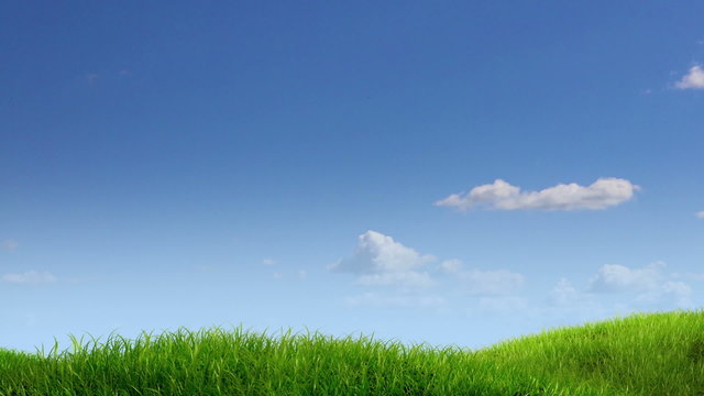 meadow and sky background