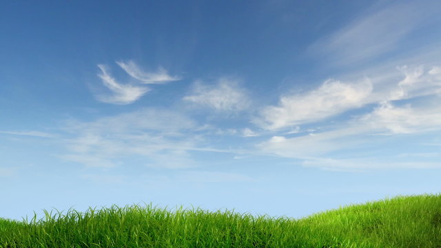 meadow and sky background, 3d animation