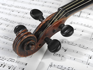 violin head