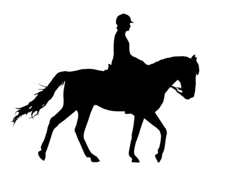 Horse and rider silhouette