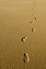 Fototapeta na wymiar Footprints ponad Wydmy na pustyni