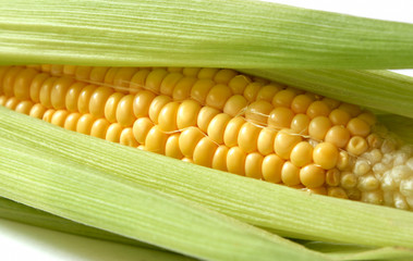 sweet corn
