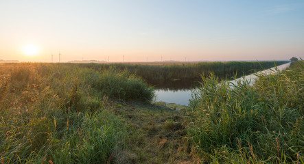 Sunrise over a canal in summer