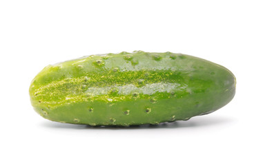 Fresh cucumber isolated on white