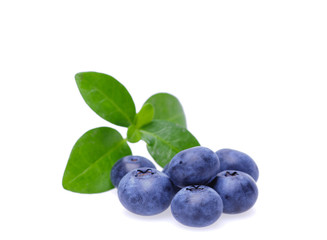 Bilberries