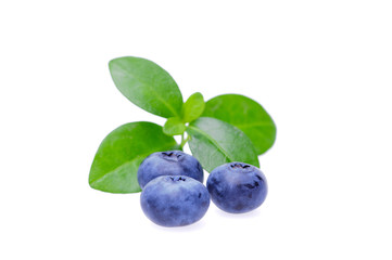 Bilberries