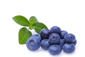 Bilberries