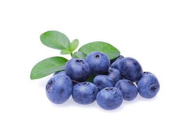 Bilberries