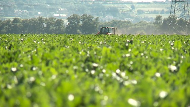 Traktor auf Feld