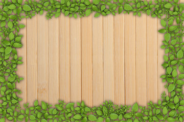 wooden plank background with green plant frame