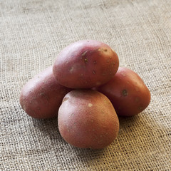 Pile of red potatoes on sackcloth
