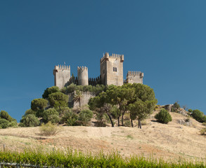 Fototapeta na wymiar castle of Almodovar del Rio