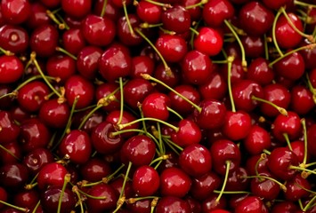 Close Up of Cherries
