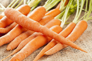 Fresh Organic Carrots