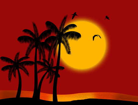 Sunset on tropical paradise with palm's silhouette