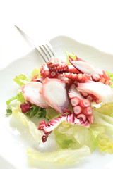 Boiled Octopus and lettuce salad for appetizer image