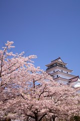 Obraz premium Castle and cherry blossom, Fukushima Japan