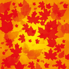 Naklejka na ściany i meble Autumn abstract background
