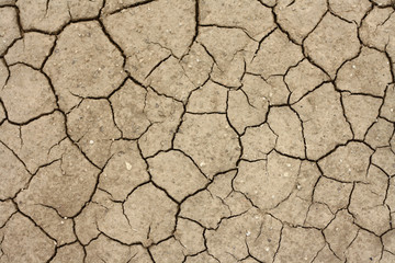 Dry soil background