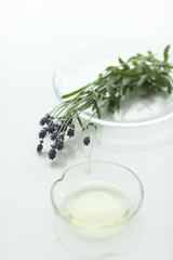 ラベンダーの花とアロマオイル