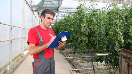 Greenhouse Worker