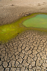 Polluted water and cracked soil of dried out lake during drought