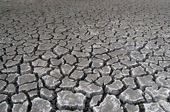 Cracked soil during drought