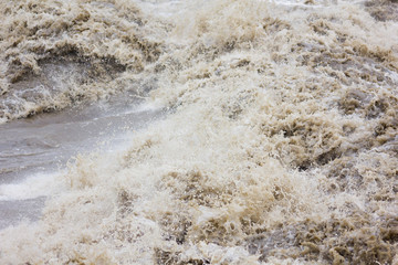 Fototapeta na wymiar Powód¼
